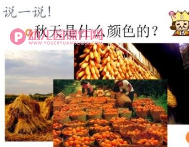 幼儿园美术丰收的秋天PPT课件图片
