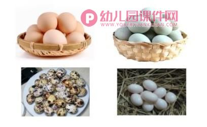 大大小小的蛋宝宝PPT课件图片