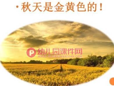 幼儿园美术丰收的秋天PPT课件图片