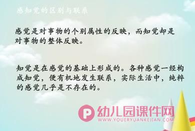 幼儿园培训教研活动幼儿的感知觉ppt课件图片