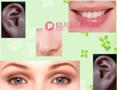 五官在哪里PPT课件图片