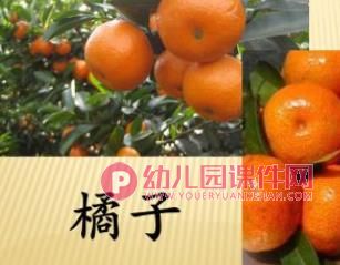 大丰收PPT课件图片
