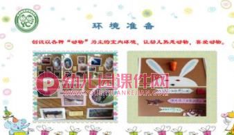 幼儿园我的动物朋友PPT课件图片