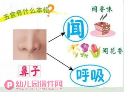 五官在哪里PPT课件图片