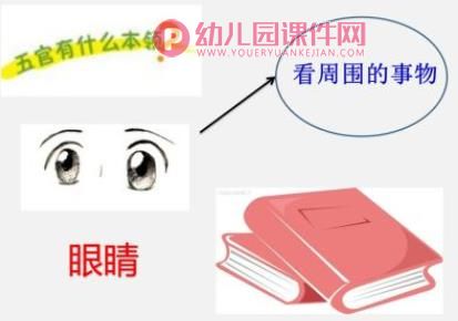 五官在哪里PPT课件图片