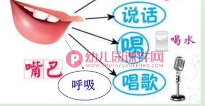 五官在哪里PPT课件图片