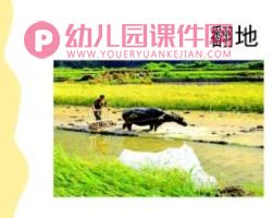 小班粮食日ppt课件图片
