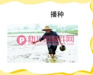 小班粮食日ppt课件图片
