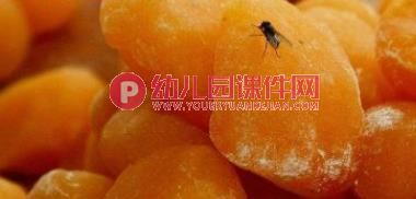 肚子为什么会疼PPT课件图片