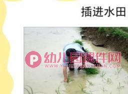 小班粮食日ppt课件图片