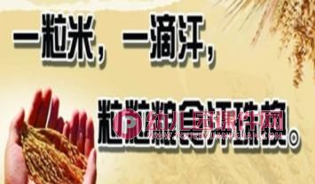 幼儿园礼仪教学课件PPT《尊重他人的劳动》PPT课件图片