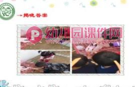 幼儿园我的动物朋友PPT课件图片