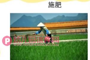 小班粮食日ppt课件图片