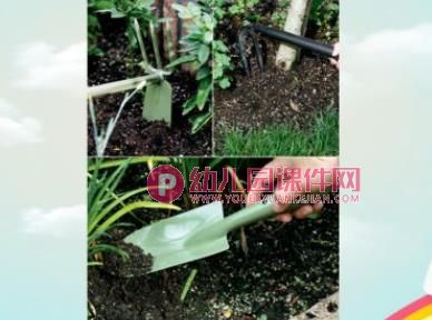 花儿好看我不摘PPT课件图片