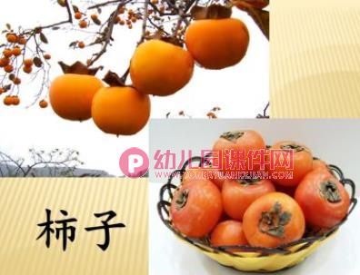 大丰收PPT课件图片