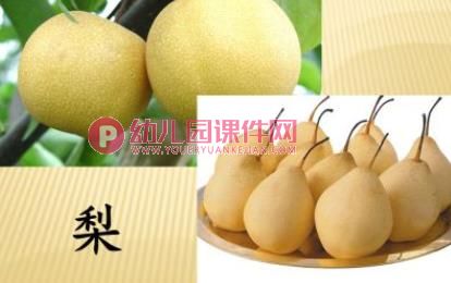 大丰收PPT课件图片