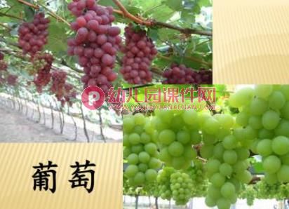 大丰收PPT课件图片