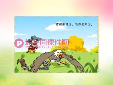 感恩的老鹰PPT课件图片