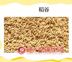 小班粮食日ppt课件图片