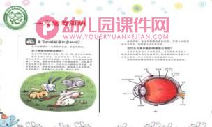 幼儿园我的动物朋友PPT课件图片