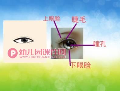 爱护我们的眼睛PPT课件图片