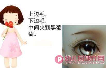 爱护我们的眼睛PPT课件图片