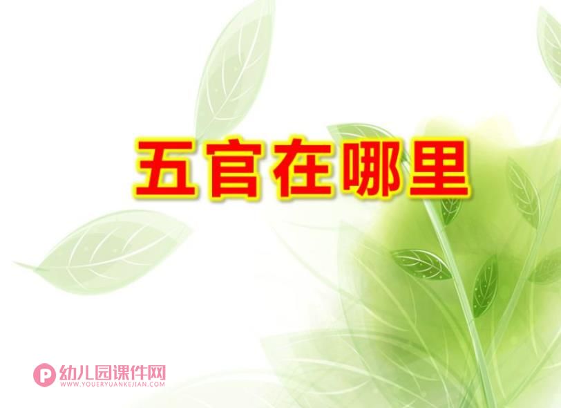 五官在哪里PPT课件图片
