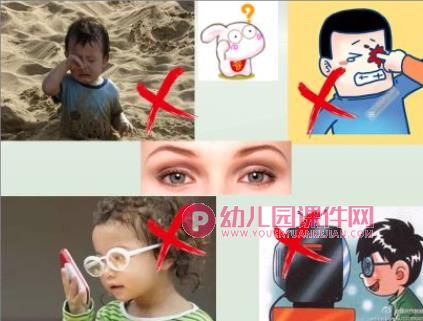 五官在哪里PPT课件图片
