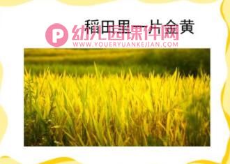 小班粮食日ppt课件图片