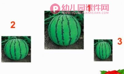 学前班数学活动课件PPT《比较大小、长短、高矮》PPT课件图片