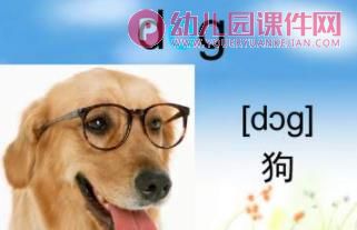 幼儿园英语课件PPT《动物》PPT课件图片