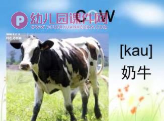 幼儿园英语课件PPT《动物》PPT课件图片