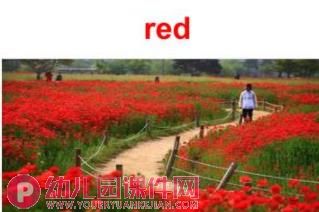 幼儿园入门英语课件PPT《颜色》PPT课件图片