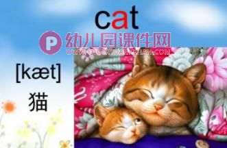 幼儿园英语课件PPT《动物》PPT课件图片