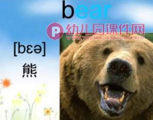 幼儿园英语课件PPT《动物》PPT课件图片