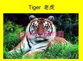 幼儿园英语教学PPT课件图片