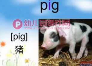 幼儿园英语课件PPT《动物》PPT课件图片