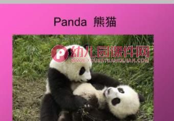 幼儿园英语教学PPT课件图片