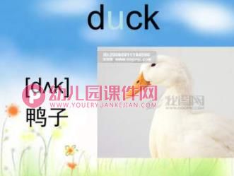 幼儿园英语课件PPT《动物》PPT课件图片
