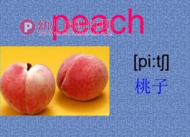 幼儿园英语水果单词PPT课件图片
