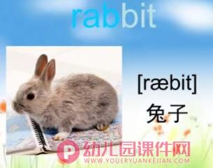 幼儿园英语课件PPT《动物》PPT课件图片
