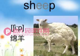 幼儿园英语课件PPT《动物》PPT课件图片
