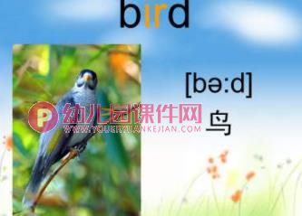 幼儿园英语课件PPT《动物》PPT课件图片