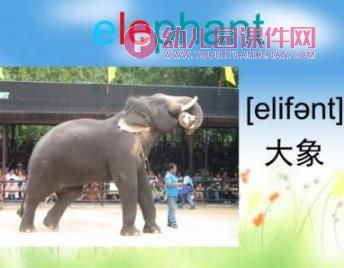 幼儿园英语课件PPT《动物》PPT课件图片