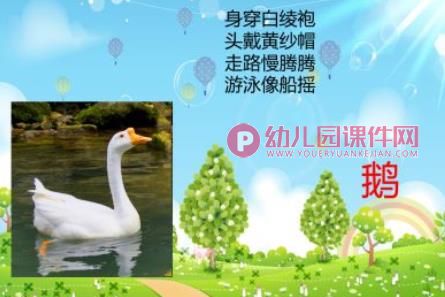 幼儿园动物儿歌课件PPT《两只鹅》PPT课件配音音乐图片