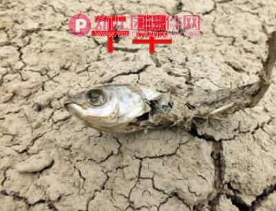 环保小卫士PPT课件图片