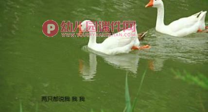 幼儿园动物儿歌课件PPT《两只鹅》PPT课件配音音乐图片