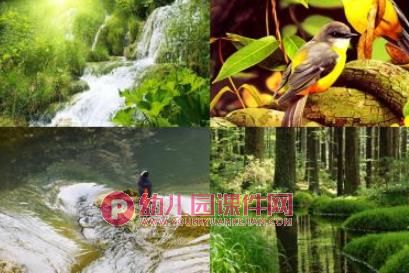 奇妙的声音PPT课件图片