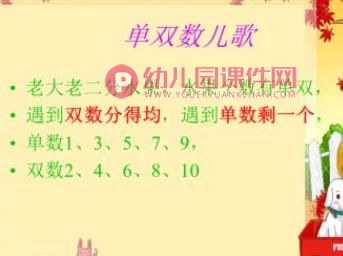 幼儿园衔接课件PPT《单数和双数》PPT课件图片