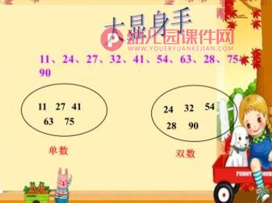 幼儿园衔接课件PPT《单数和双数》PPT课件图片